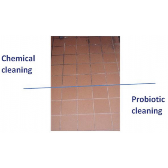 Synbio Floor Concentrate