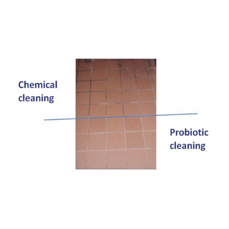 Synbio Floor Concentrate